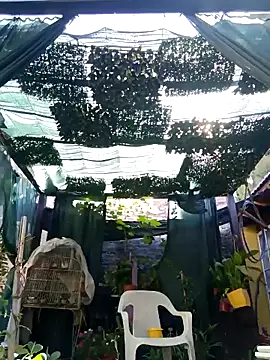 gordorichard online show from 02-21-26, 12:39