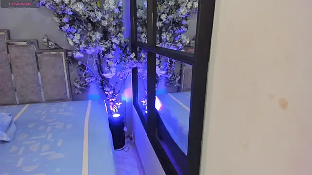 Snapshot of Nalapalmer chatting on 02-07-26, 07:39 Nalapalmer online show from 02-07-26, 07:39