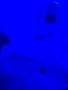 Snapshot of bojo69 chatting on 02-13-26, 12:12 bojo69 online show from 02-13-26, 12:12