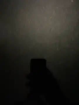 stallone italiano 62 online show from 02-11-26, 08:47