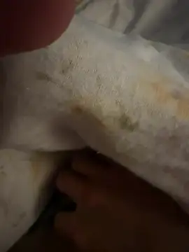 sbollando13 online show from 02-08-26, 07:56