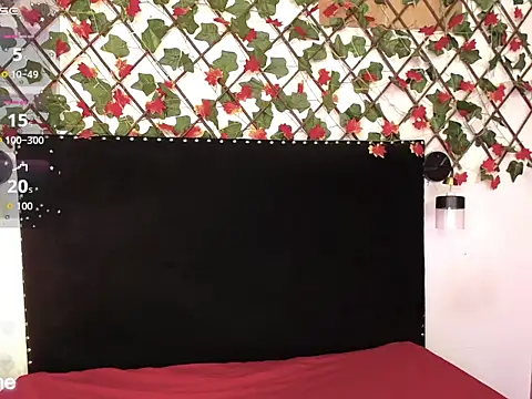 Snapshot of DakotaRouse1 chatting on 02-10-26, 12:09 DakotaRouse1 online show from 02-10-26, 12:09