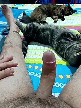 JFC161612 online show from 04-07-26, 06:14