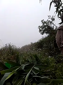 lovely-742 online show from 03-07-26, 01:57