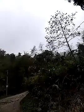 lovely-742 online show from 03-24-26, 01:54