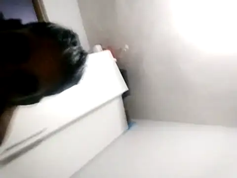 Baby P online show from 03-18-26, 05:49