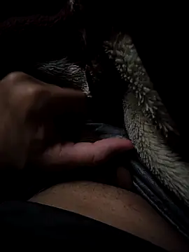 MoMnsi online show from 02-25-26, 06:01