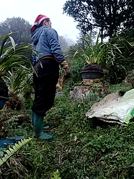 Snapshot of nelina_12345 chatting on 02-13-26, 10:44 nelina 12345 online show from 02-13-26, 10:44