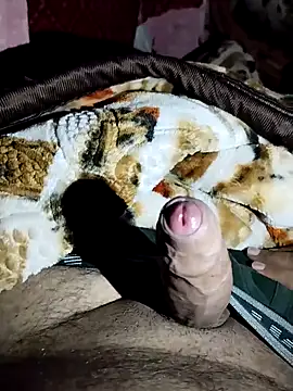 Snapshot of harryxxx82 chatting on 02-18-26, 07:37 harryxxx82 online show from 02-18-26, 07:37