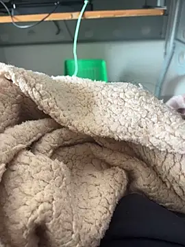 D4n13l47 online show from 03-04-26, 09:59