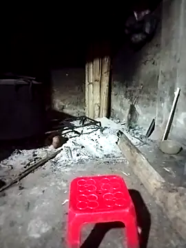 ngocbao11 online show from 03-01-26, 12:12