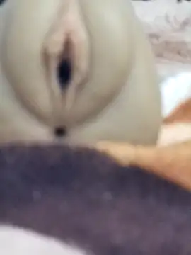 Mikecrazyhy online show from 02-25-26, 03:16