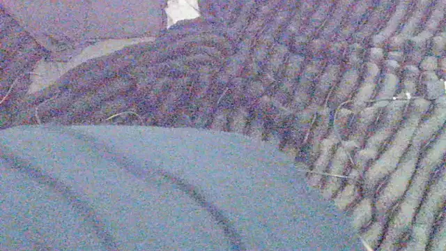 elong007 online show from 04-01-26, 03:53