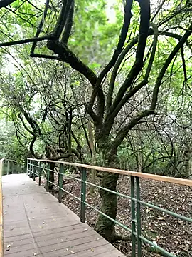 The Conquer online show from 04-10-26, 06:34