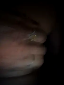 Rashmika Mandana online show from 03-18-26, 06:55