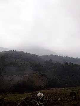 lyly sexx online show from 03-14-26, 04:29