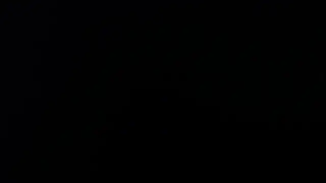 artemisa aly online show from 04-08-26, 11:43