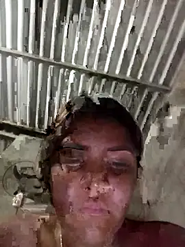 single kitten online show from 03-20-26, 03:22