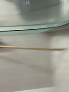 David-latinlover online show from 03-29-26, 10:43