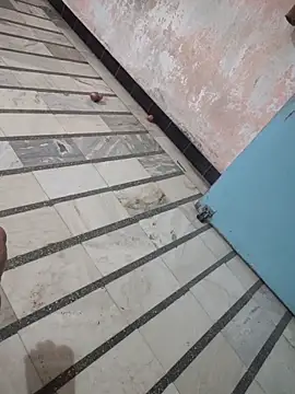 Tamillaxmi12 online show from 03-07-26, 01:08