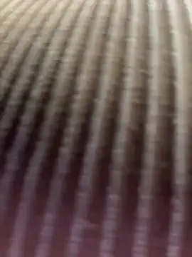 Snapshot of Cherry_Charlottee chatting on 05-27-26, 01:57 Cherry Charlottee online show from 05-27-26, 01:57