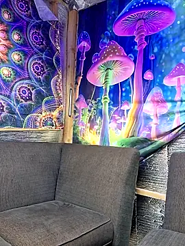 drednasty online show from 03-31-26, 12:01