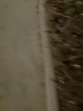 MarekPublicShow online show from 03-03-26, 09:42