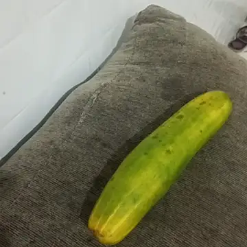 puta casada online show from 03-07-26, 03:03