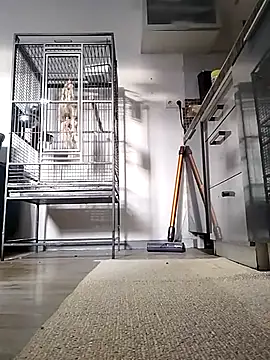 sexy8993 online show from 04-13-26, 05:40