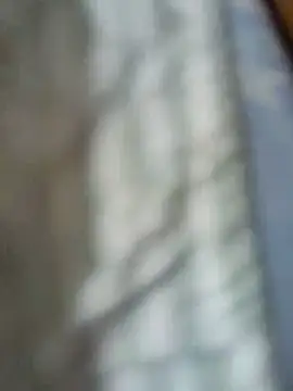 Snapshot of sub_arabe chatting on 05-03-26, 01:50 sub arabe online show from 05-03-26, 01:50