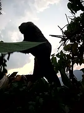 Bling-pusy online show from 04-08-26, 11:32