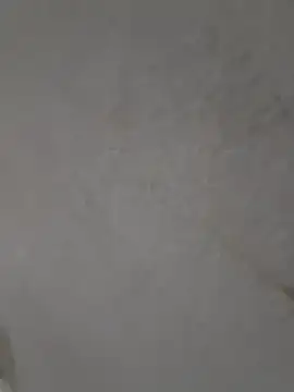 Snapshot of Casandraxquesi chatting on 03-11-26, 04:13 Casandraxquesi online show from 03-11-26, 04:13