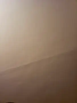 dufatcock online show from 04-10-26, 08:02