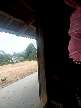 kalara kail online show from 03-31-26, 11:05