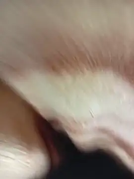 Snapshot of MaSimo_23 chatting on 03-14-26, 09:31 MaSimo 23 online show from 03-14-26, 09:31