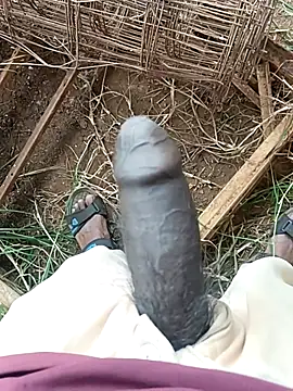 sanju 5418 online show from 04-11-26, 06:18