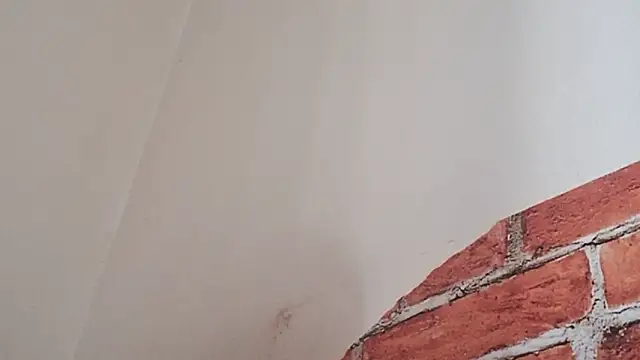 Snapshot of Sueliton2 chatting on 03-28-26, 05:34 Sueliton2 online show from 03-28-26, 05:34