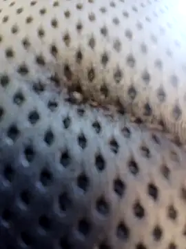 ejthedancer online show from 03-24-26, 05:29