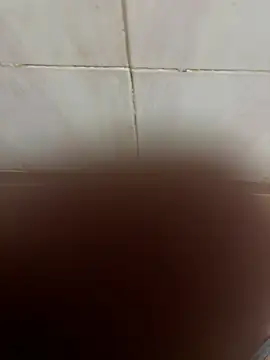 SingleBoy66666 online show from 04-06-26, 06:47