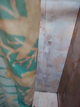 DosAlmasArdientesED online show from 04-20-26, 02:58