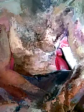 SteedyGee online show from 03-27-26, 09:32