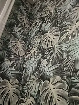 MileDi777 online show from 04-26-26, 07:11