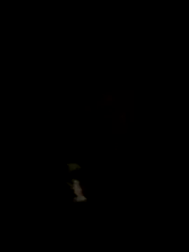 alicancetin11 online show from 04-09-26, 07:30