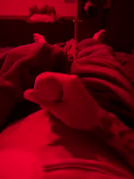 Dstat715 online show from 04-19-26, 06:02