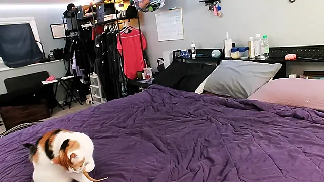 PolyCircus online show from 04-12-26, 04:06