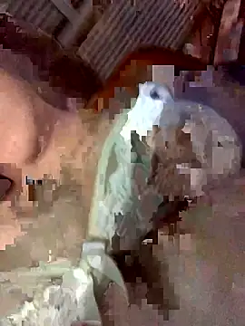 Latinshott online show from 04-06-26, 04:10