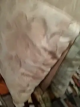 perfect vicy online show from 04-07-26, 07:03