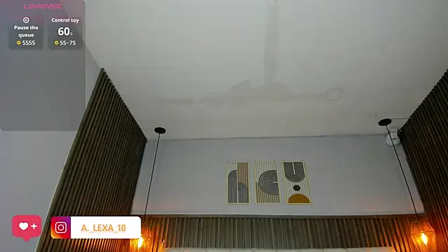 Snapshot of Hayami_Li chatting on 07-07-26, 11:58 Hayami Li online show from 07-07-26, 11:58