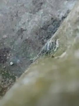 Couple69sexe online show from 04-22-26, 04:19