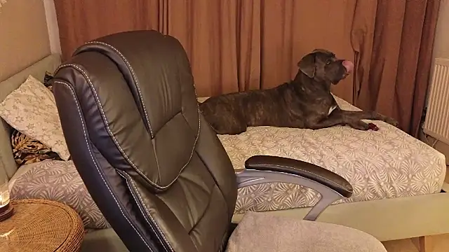 Sharon Red online show from 12-02-24, 06:21